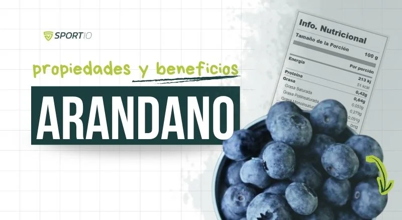arandanos-propiedades-a-nivel-nutricional-y-beneficios